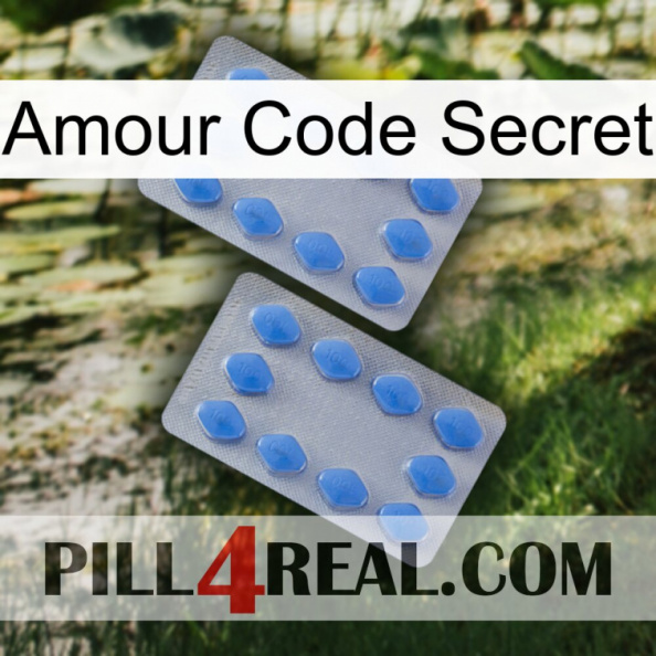 Love Secret Code 20